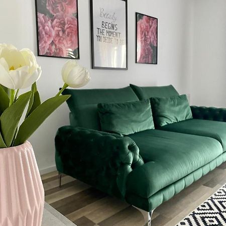 Velvet Studio Тыргу-Муреш Экстерьер фото